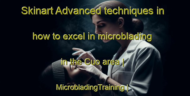 Skinart Advanced techniques in how to excel in microblading in the Cuo area | MicrobladingTraining | MicrobladingClasses | SkinartTraining-France